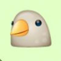 DBird