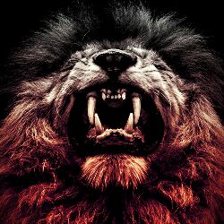 neobear