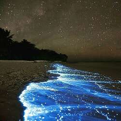 DarkLight