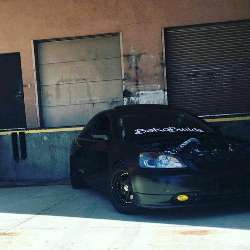 4283adrian