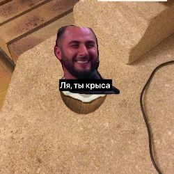 Ля, ты крыса
