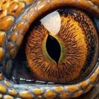 Snake Eye