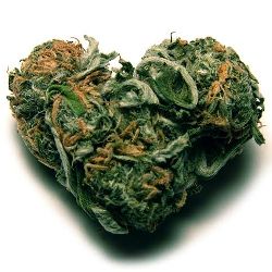marro de la blf
