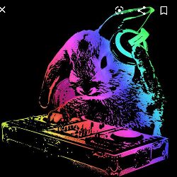 I.B.Q.B NEW