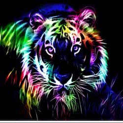 The NeOn Freak 