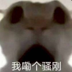 鄭詠文