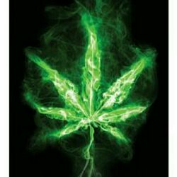 TheDrug
