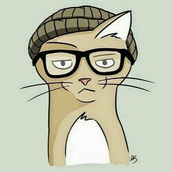 MR CAT
