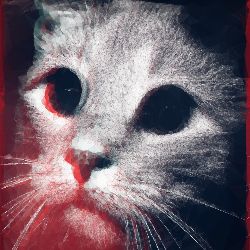 Музыкальный Кошак