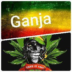 Rasta lion ras