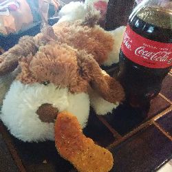 LilFuzzieEats