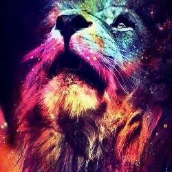 LION777