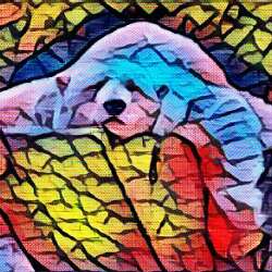 dreamfile