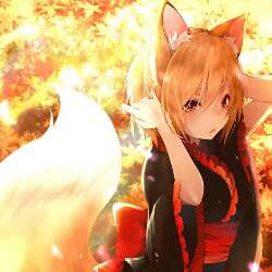 Yuki 303