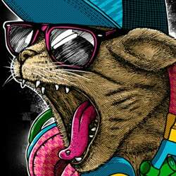 Crazy Cat