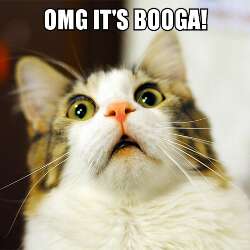 ☮Booga Will Finesse☮