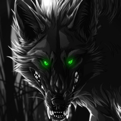 xXshadowwolfXx