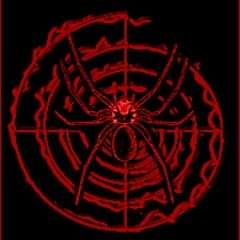 Brown Recluse