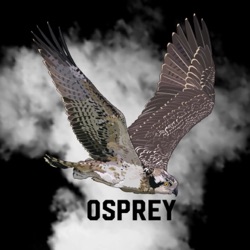 “OspreyBeats”