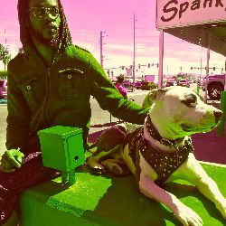 Bo$$$ Woodd