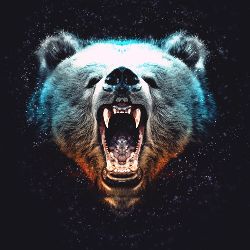 Mr. Grizzly