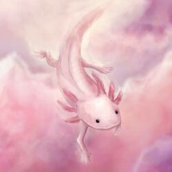 Axolotl's RM