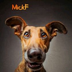 Mick F