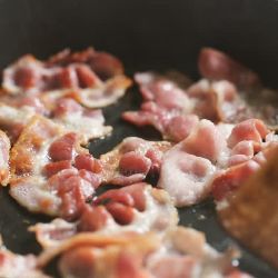 PETIT LARDON