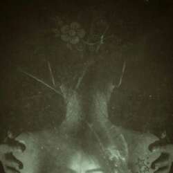 LISE ma