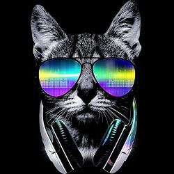 Dj Meauffus