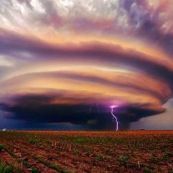 TORNADO