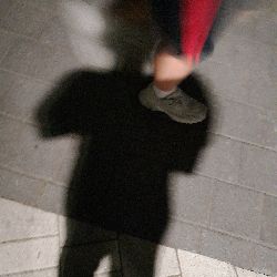 송지율