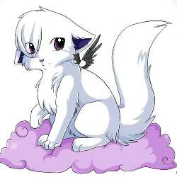 winterfox