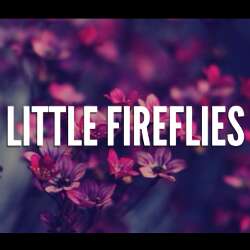 Little Fireflies
