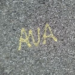 Ava