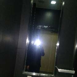 Dizi