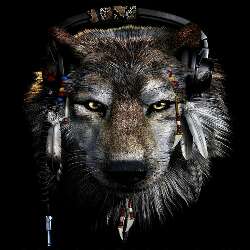 ⚡SamWolf⚡