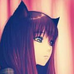 Кошка Лера #CatLera