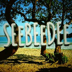 SEeBEeDEe