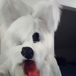 _Andy_<3