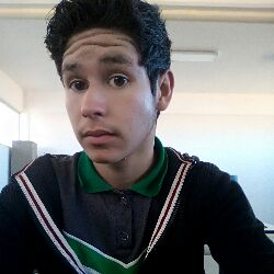 Diaz L.