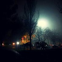 Thunder