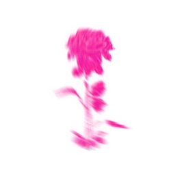 SHAWTY ROZE
