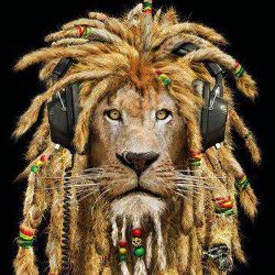 DJ Gooody