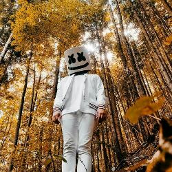 Marshmello