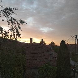Péjó Dávid