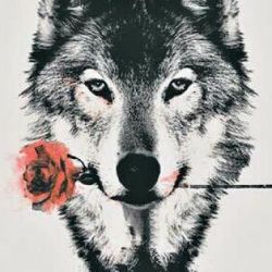 Rose Wolf