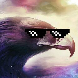 ToxaEagle123