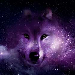 Galaxy wolf 
