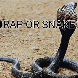 ○●Rap or Snake●○